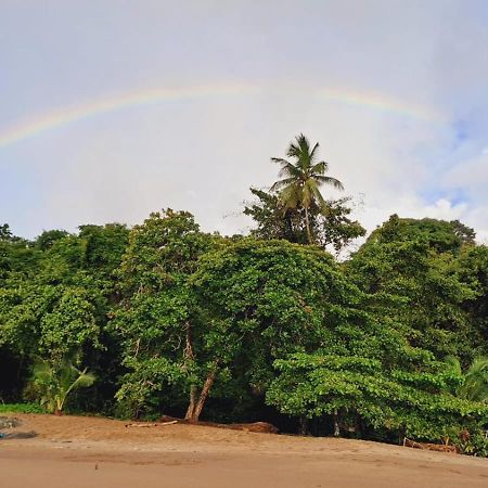 Vista Alta Ecolodge Bahia Drake Драке Экстерьер фото
