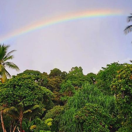 Vista Alta Ecolodge Bahia Drake Драке Экстерьер фото