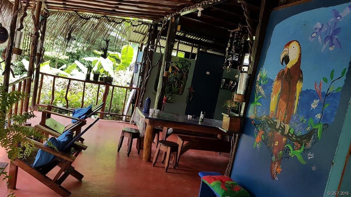 Vista Alta Ecolodge Bahia Drake Драке Экстерьер фото
