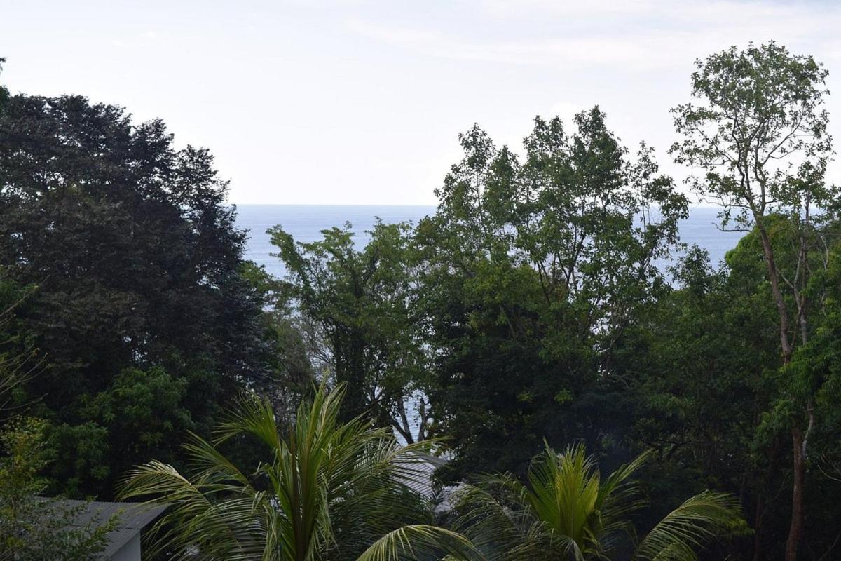 Vista Alta Ecolodge Bahia Drake Драке Экстерьер фото