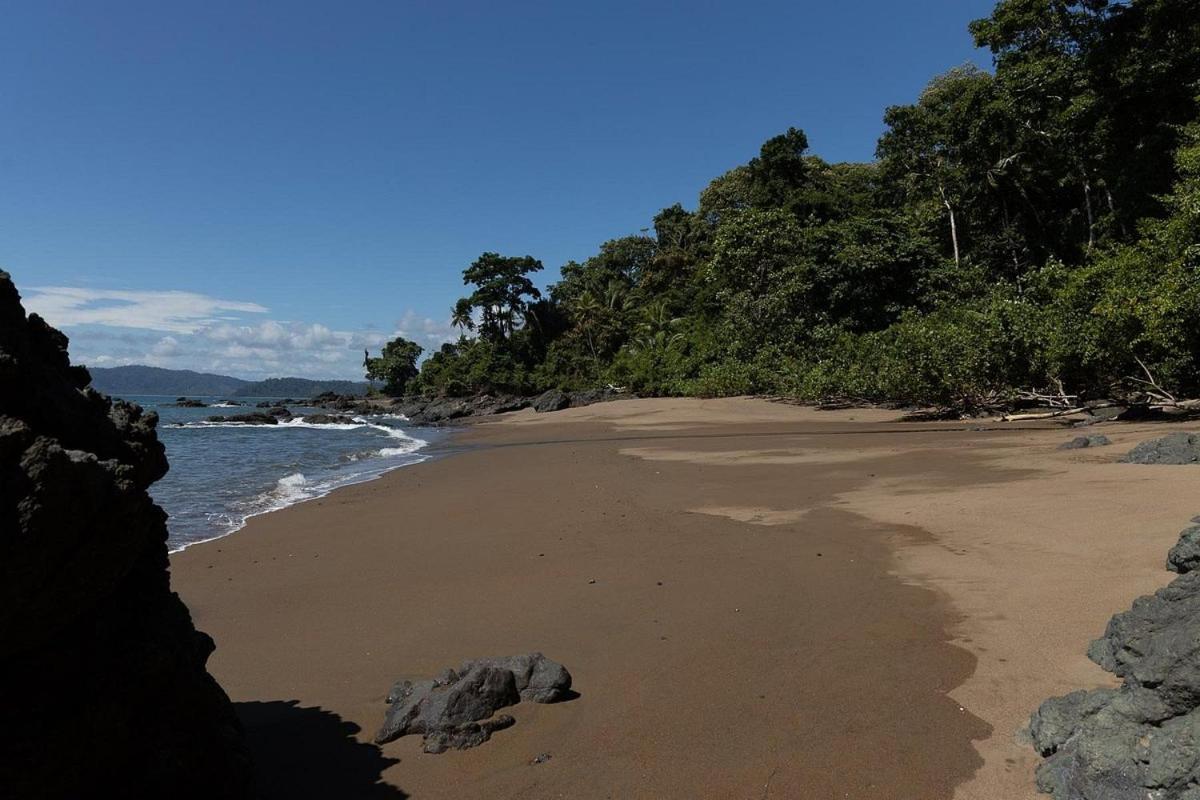 Vista Alta Ecolodge Bahia Drake Драке Экстерьер фото