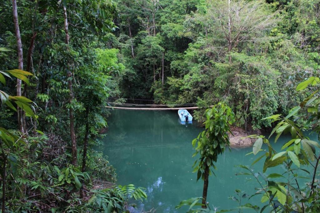 Vista Alta Ecolodge Bahia Drake Драке Экстерьер фото