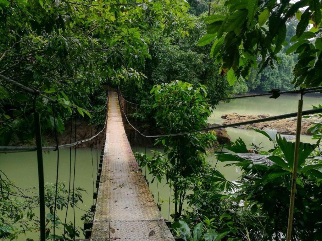 Vista Alta Ecolodge Bahia Drake Драке Экстерьер фото
