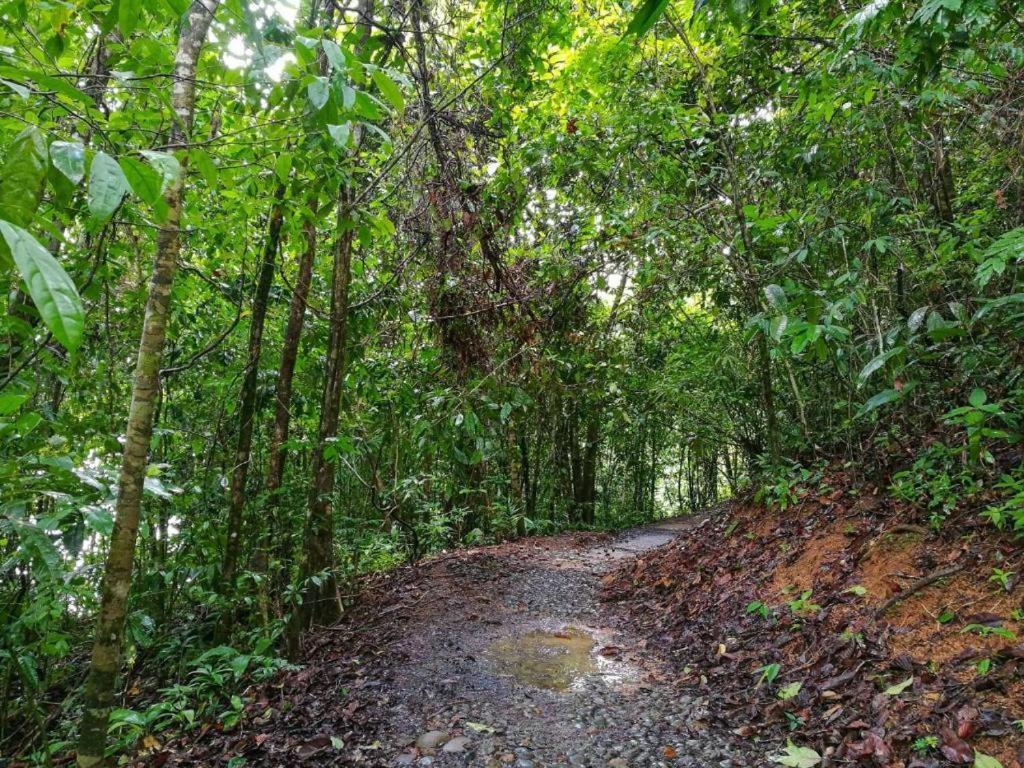 Vista Alta Ecolodge Bahia Drake Драке Экстерьер фото