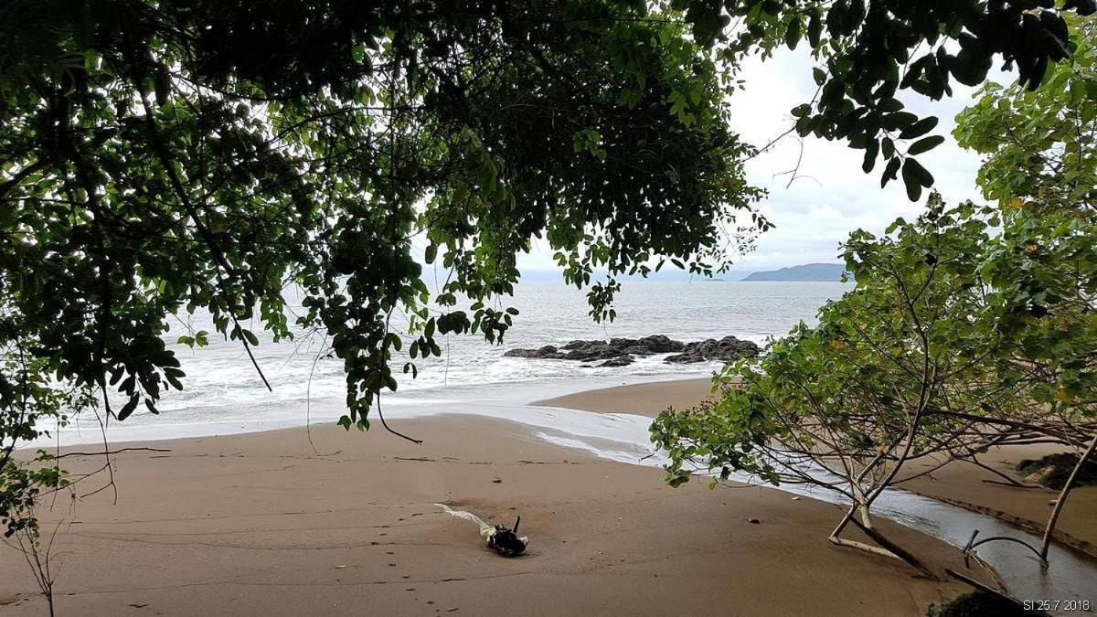 Vista Alta Ecolodge Bahia Drake Драке Экстерьер фото