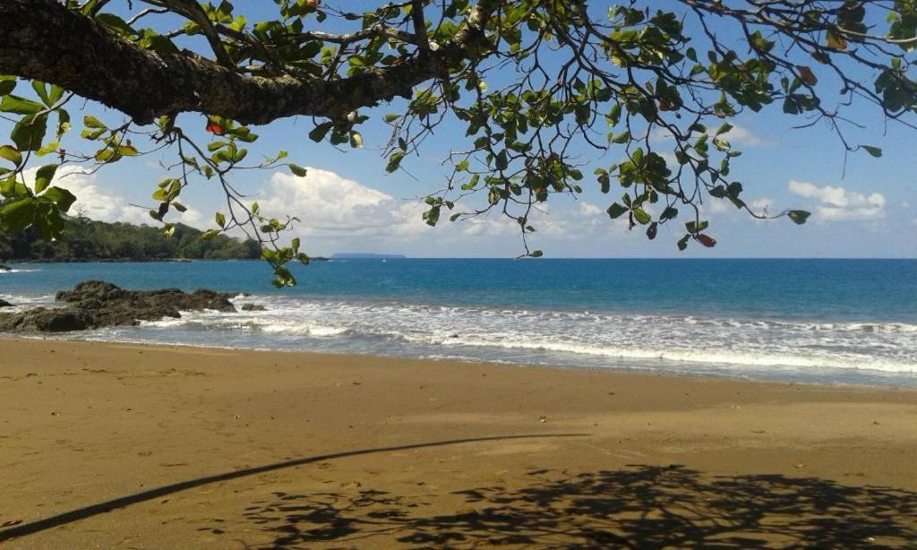 Vista Alta Ecolodge Bahia Drake Драке Экстерьер фото