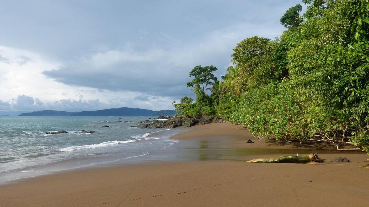 Vista Alta Ecolodge Bahia Drake Драке Экстерьер фото