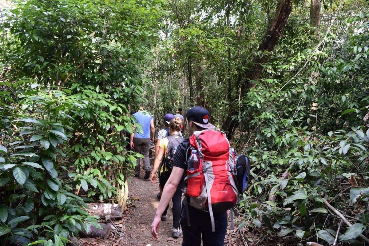 Vista Alta Ecolodge Bahia Drake Драке Экстерьер фото