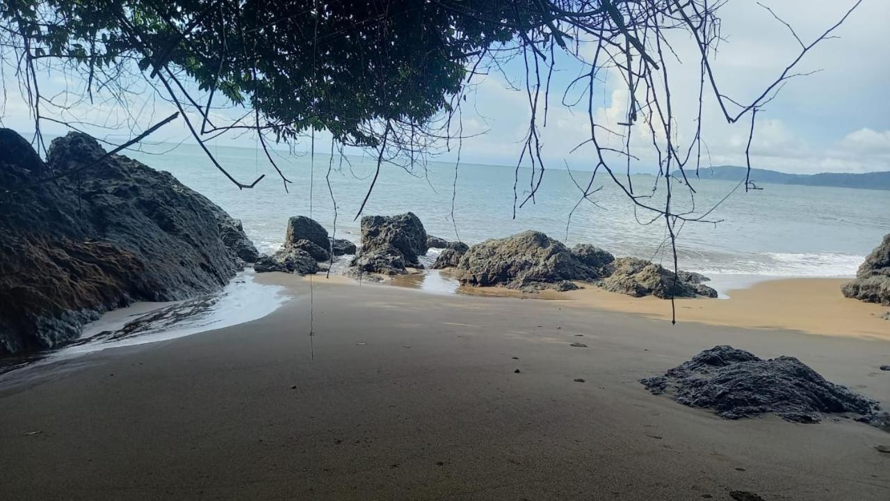 Vista Alta Ecolodge Bahia Drake Драке Экстерьер фото