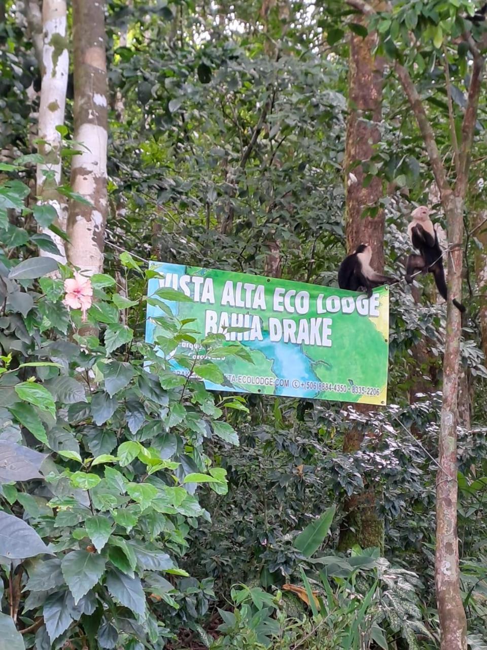 Vista Alta Ecolodge Bahia Drake Драке Экстерьер фото