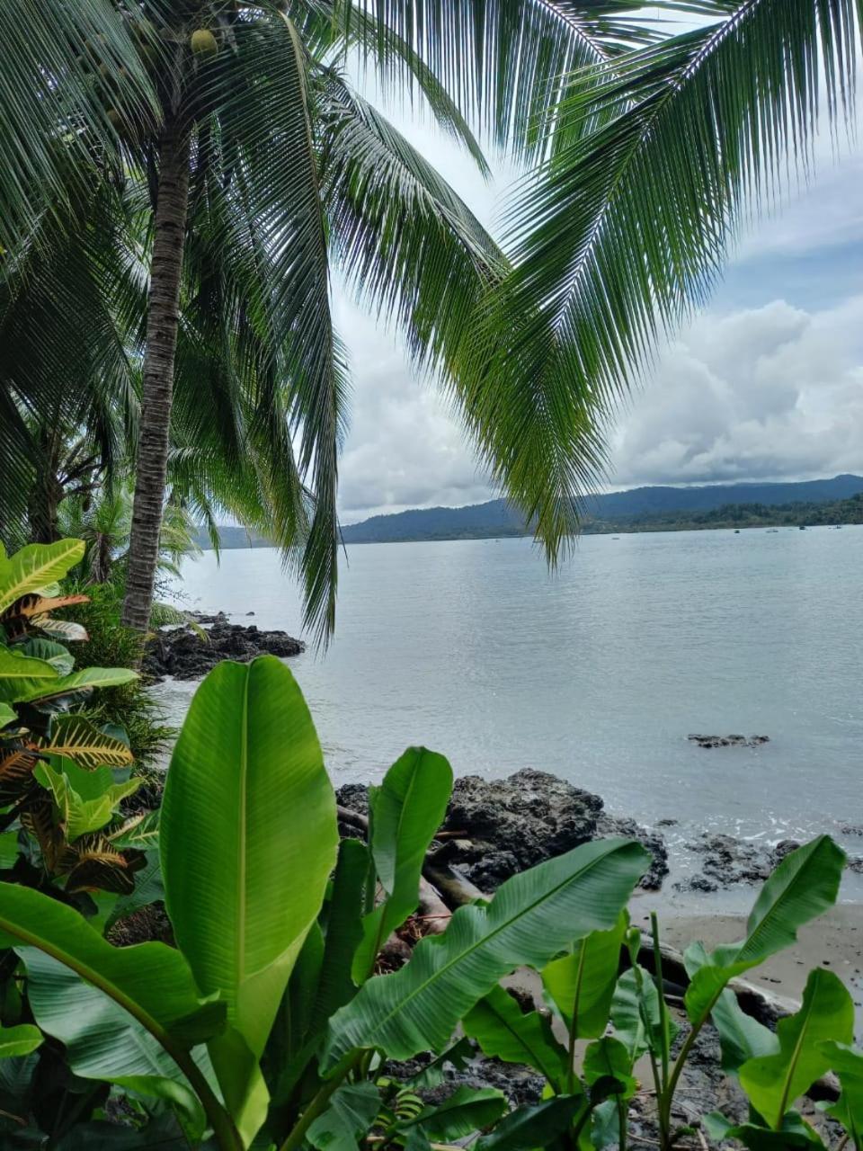Vista Alta Ecolodge Bahia Drake Драке Экстерьер фото