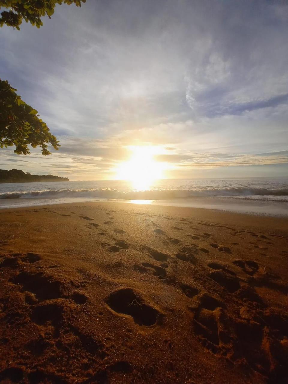 Vista Alta Ecolodge Bahia Drake Драке Экстерьер фото