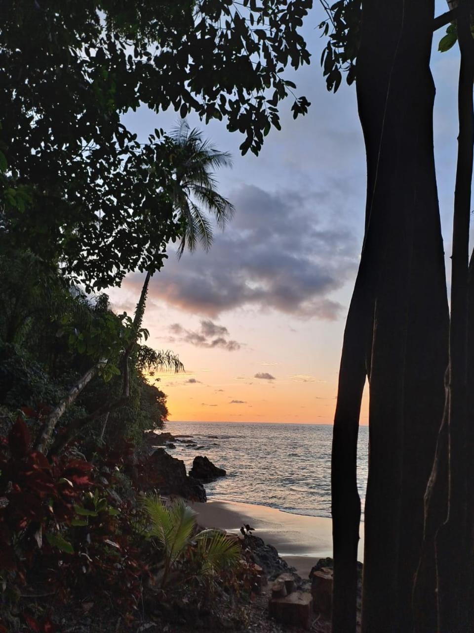 Vista Alta Ecolodge Bahia Drake Драке Экстерьер фото