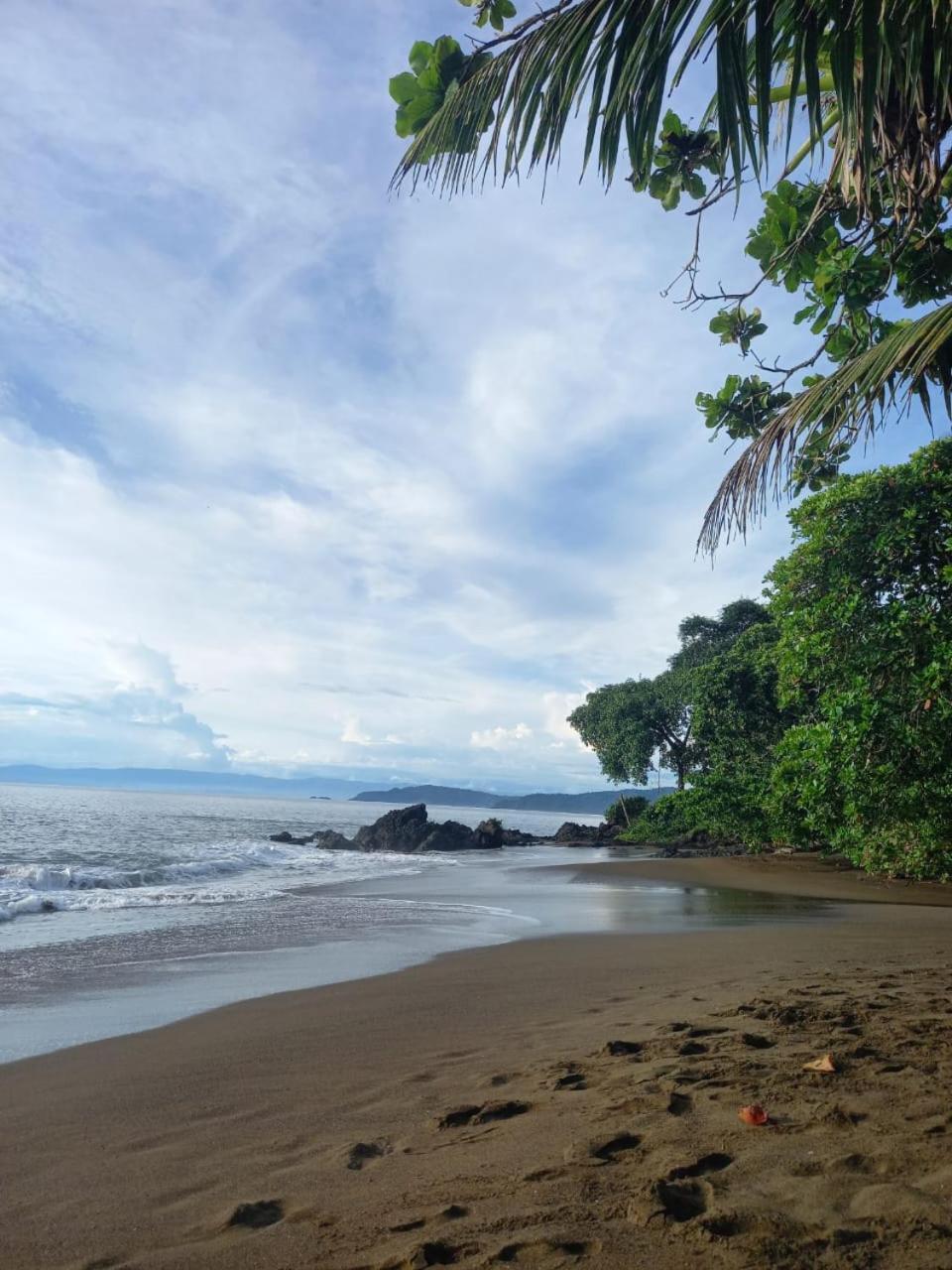 Vista Alta Ecolodge Bahia Drake Драке Экстерьер фото