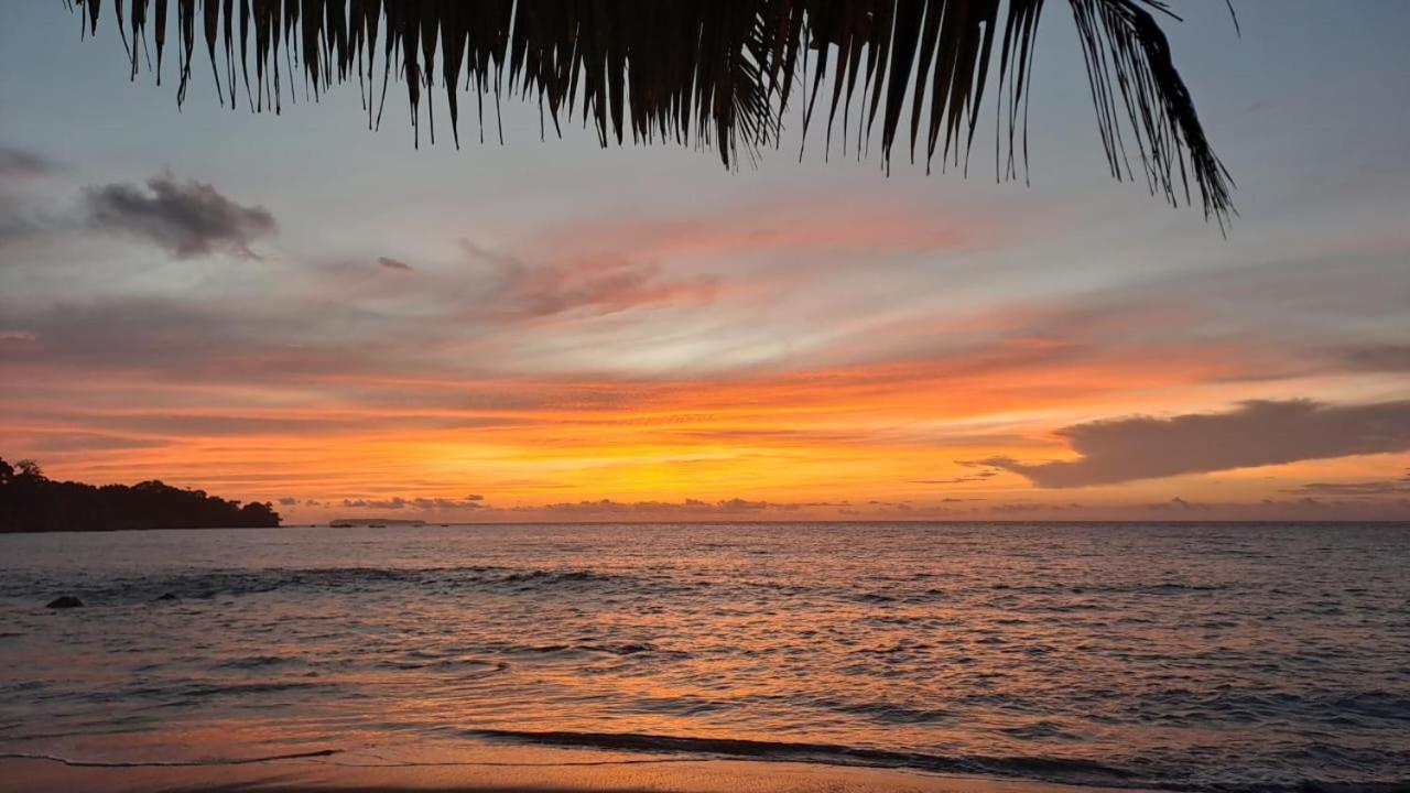 Vista Alta Ecolodge Bahia Drake Драке Экстерьер фото