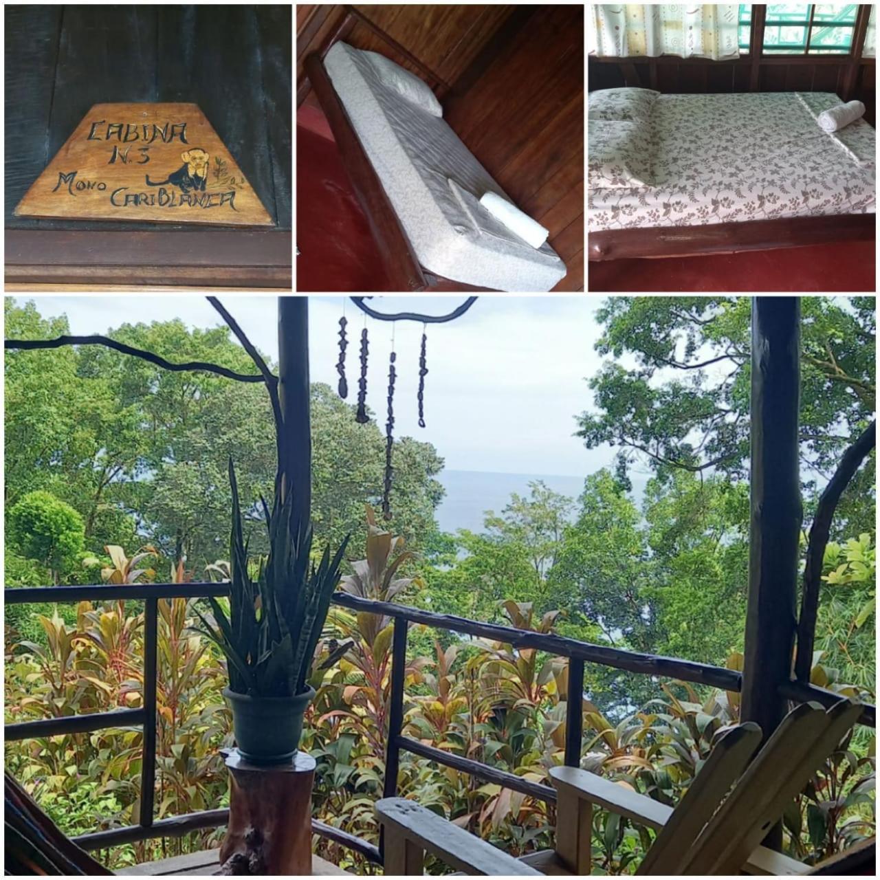Vista Alta Ecolodge Bahia Drake Драке Экстерьер фото