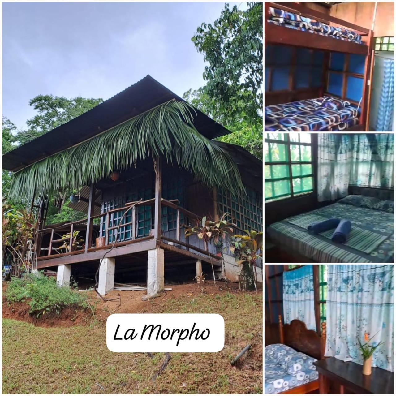 Vista Alta Ecolodge Bahia Drake Драке Экстерьер фото