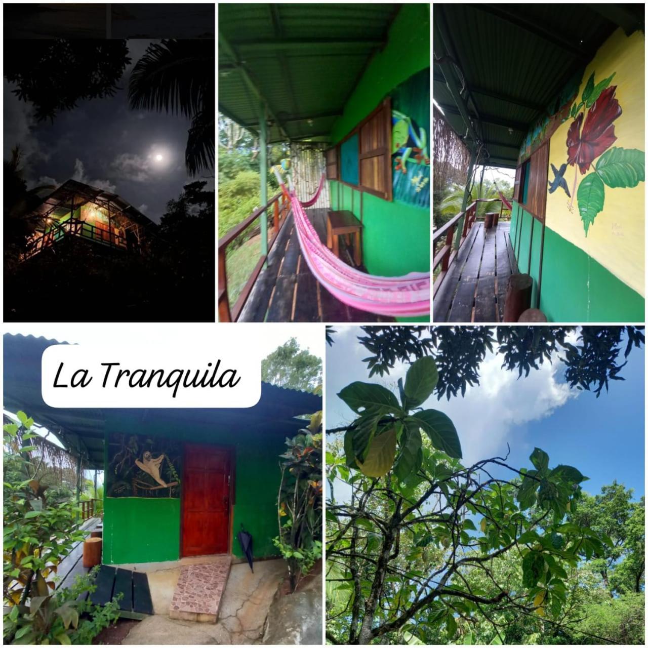 Vista Alta Ecolodge Bahia Drake Драке Экстерьер фото