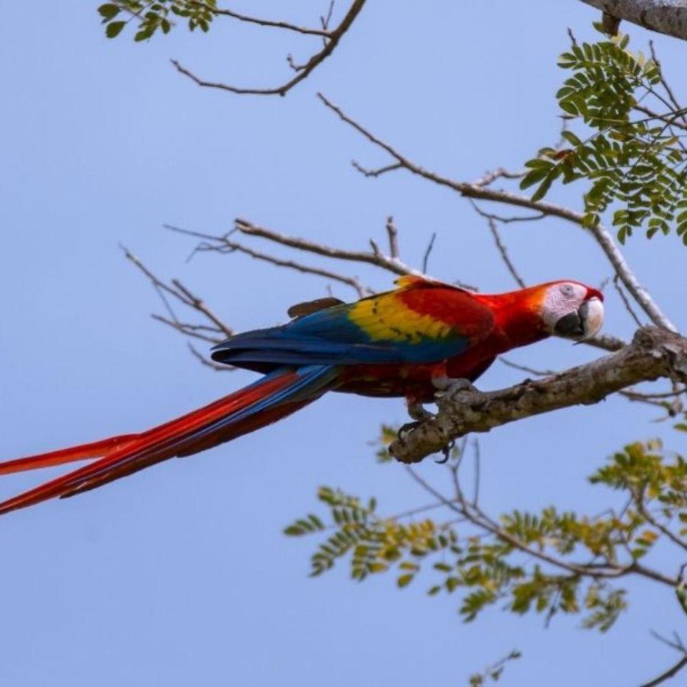 Vista Alta Ecolodge Bahia Drake Драке Экстерьер фото