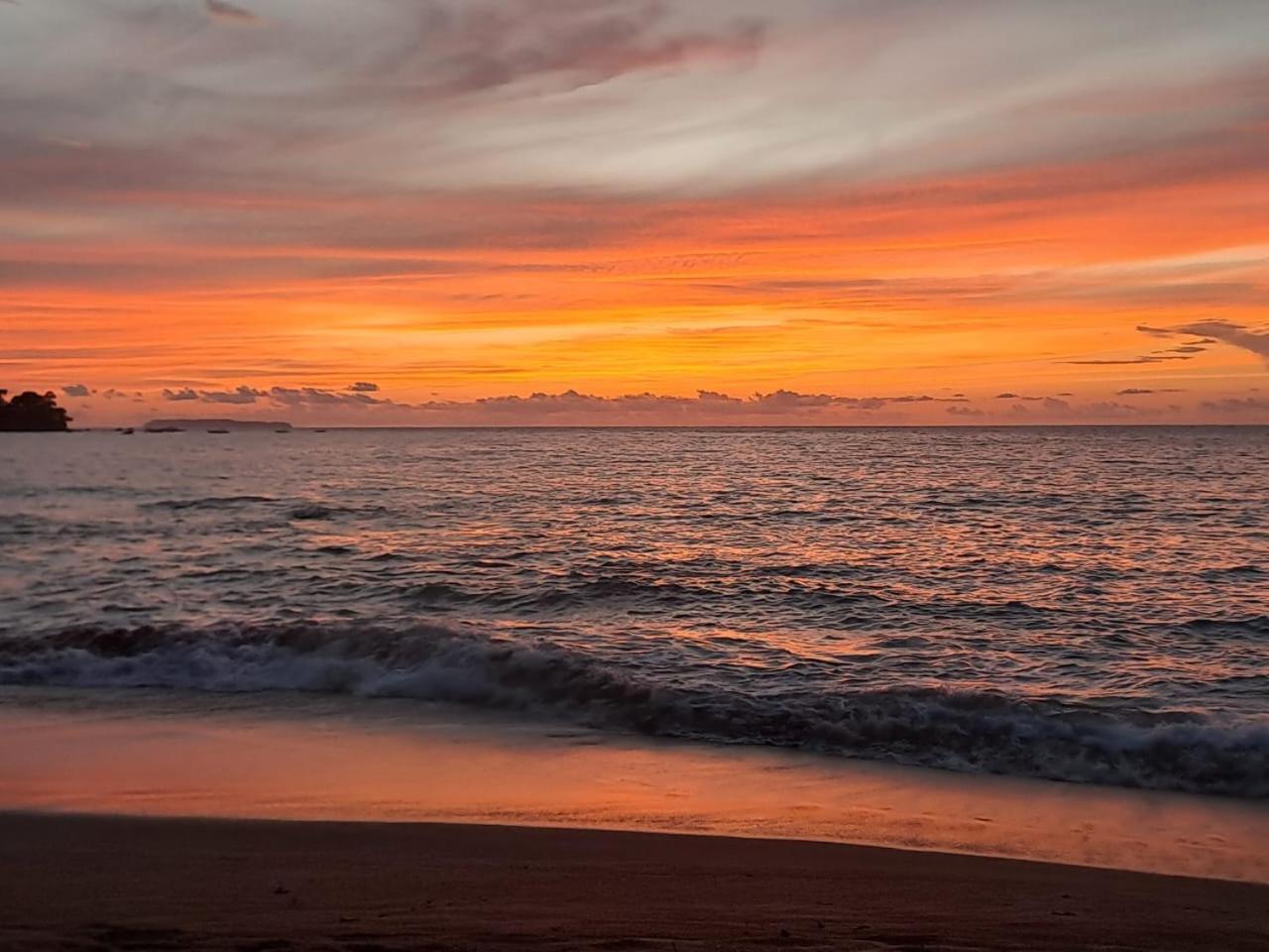 Vista Alta Ecolodge Bahia Drake Драке Экстерьер фото