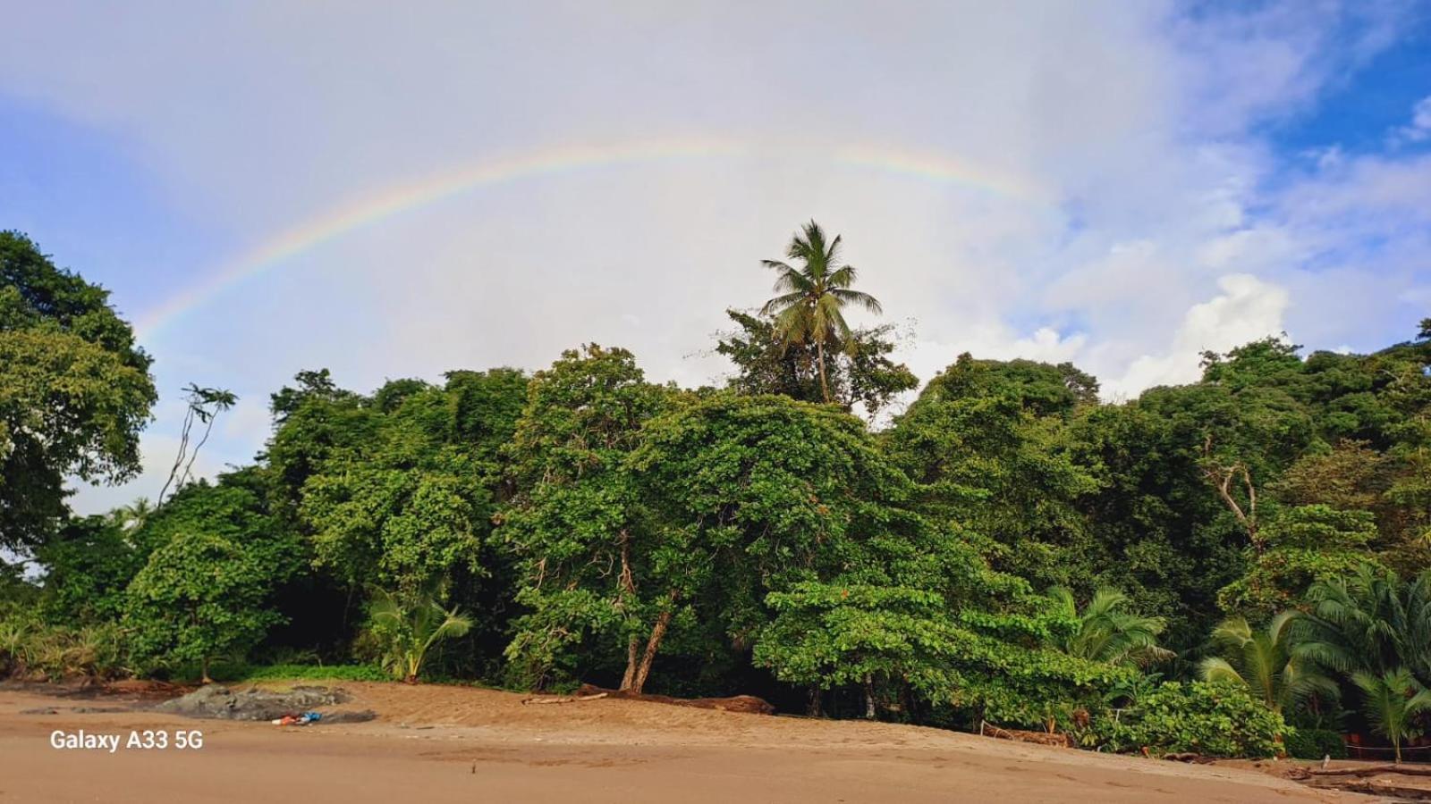 Vista Alta Ecolodge Bahia Drake Драке Экстерьер фото