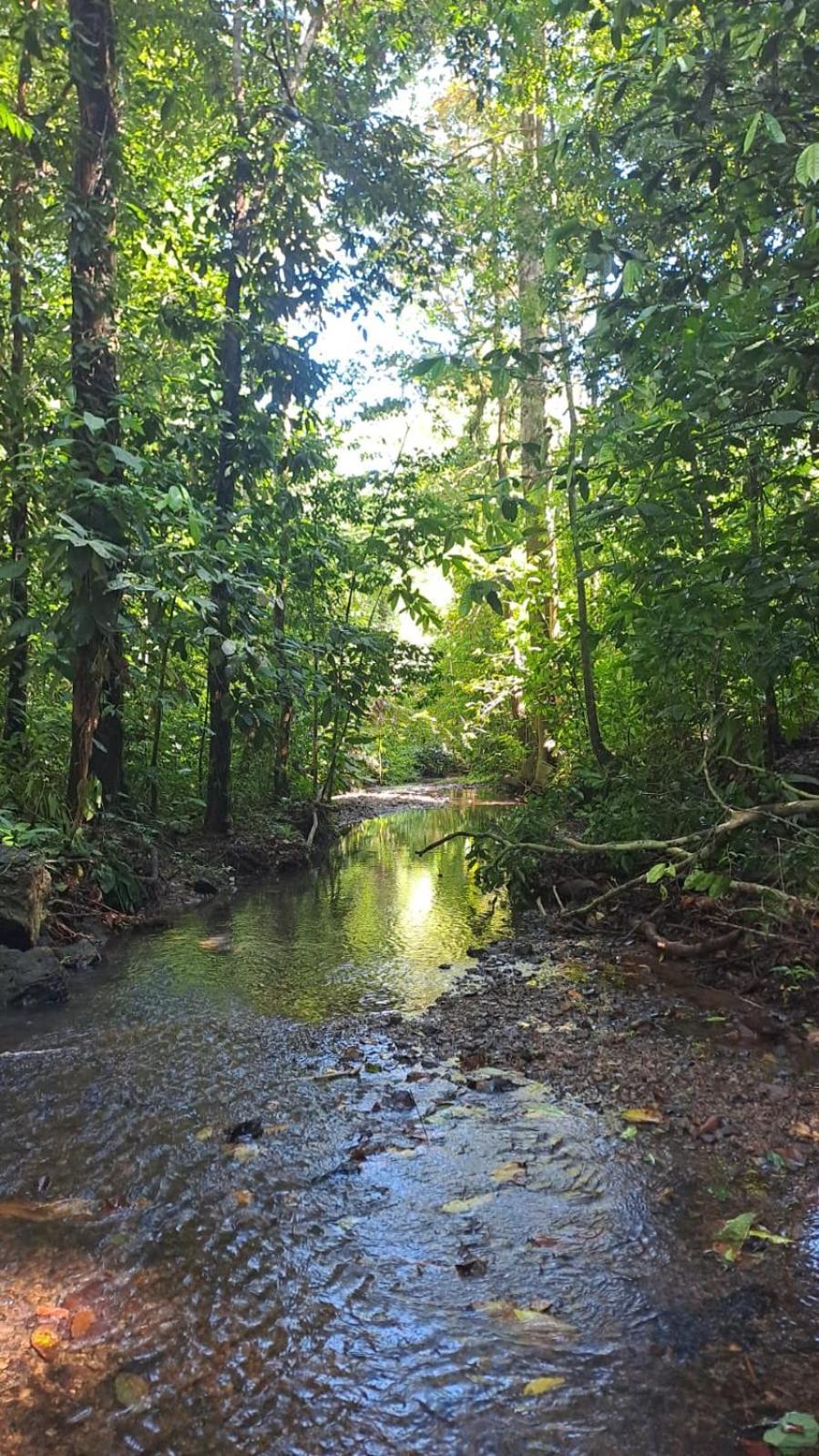 Vista Alta Ecolodge Bahia Drake Драке Экстерьер фото