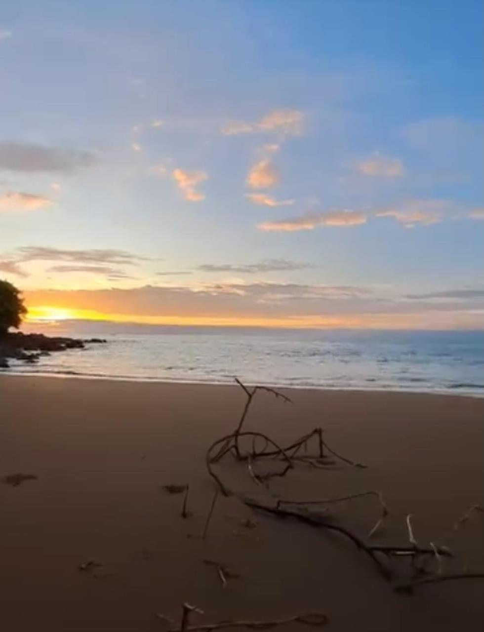 Vista Alta Ecolodge Bahia Drake Драке Экстерьер фото