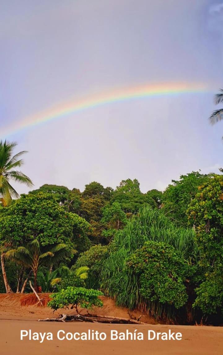 Vista Alta Ecolodge Bahia Drake Драке Экстерьер фото